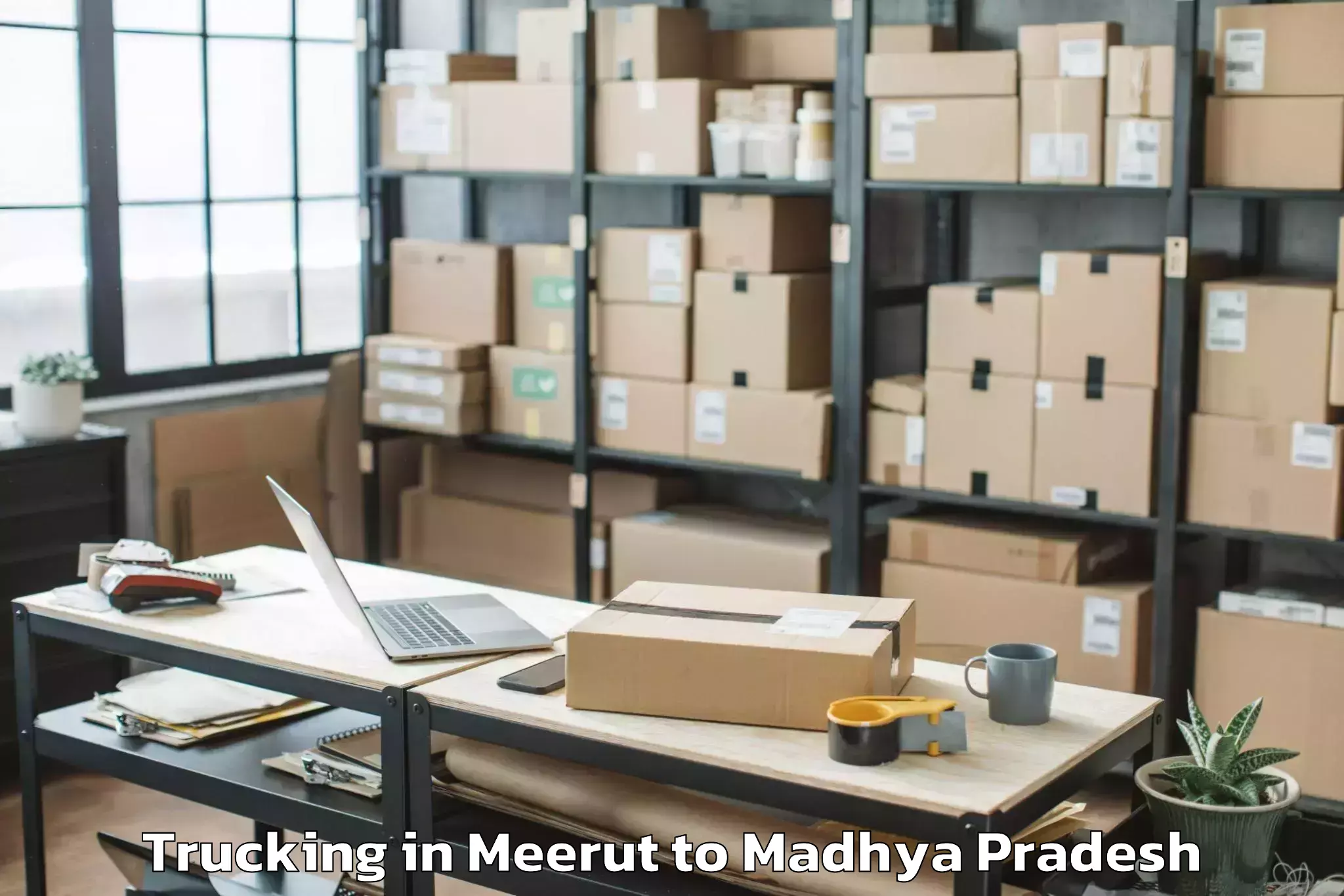 Leading Meerut to Khategaon Trucking Provider